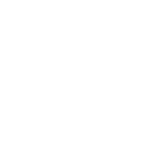 Holo Team Secret Team Sticker - TI 2022